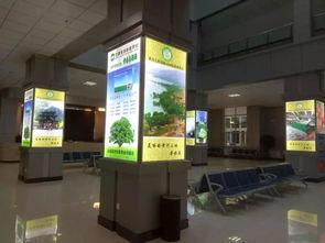 青海西寧雄盛燈箱廠 以品質與誠信點亮旅游服務新篇章